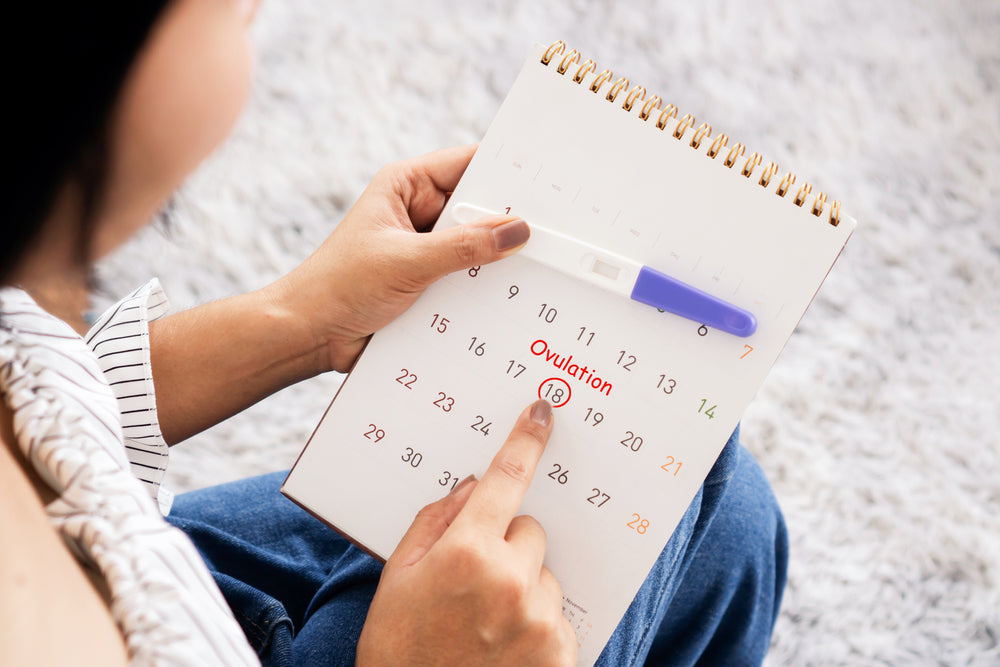 Frau berechnet ihren Eisprung mit Kalender